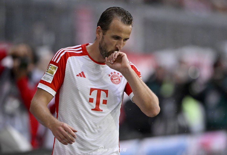 体现了新一 体现了新一